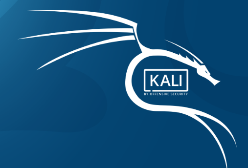 kali linux vmware image 64 bit download